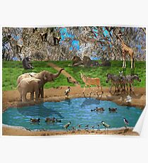 Animals kingdom Poster