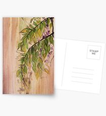 Wisteria Postcards