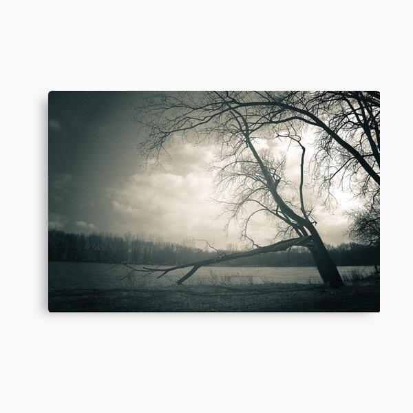 To Remember - Side Cut Metro Park Canvas Print