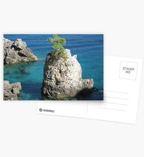 Love life, love sea Postcards