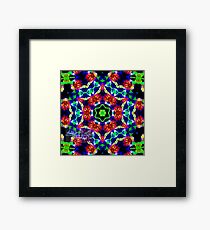 kaleidoiris Framed Print