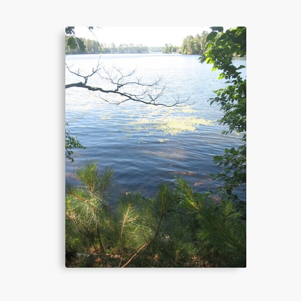 zen pads too Canvas Print