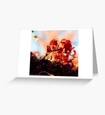 Fire! Greeting Card