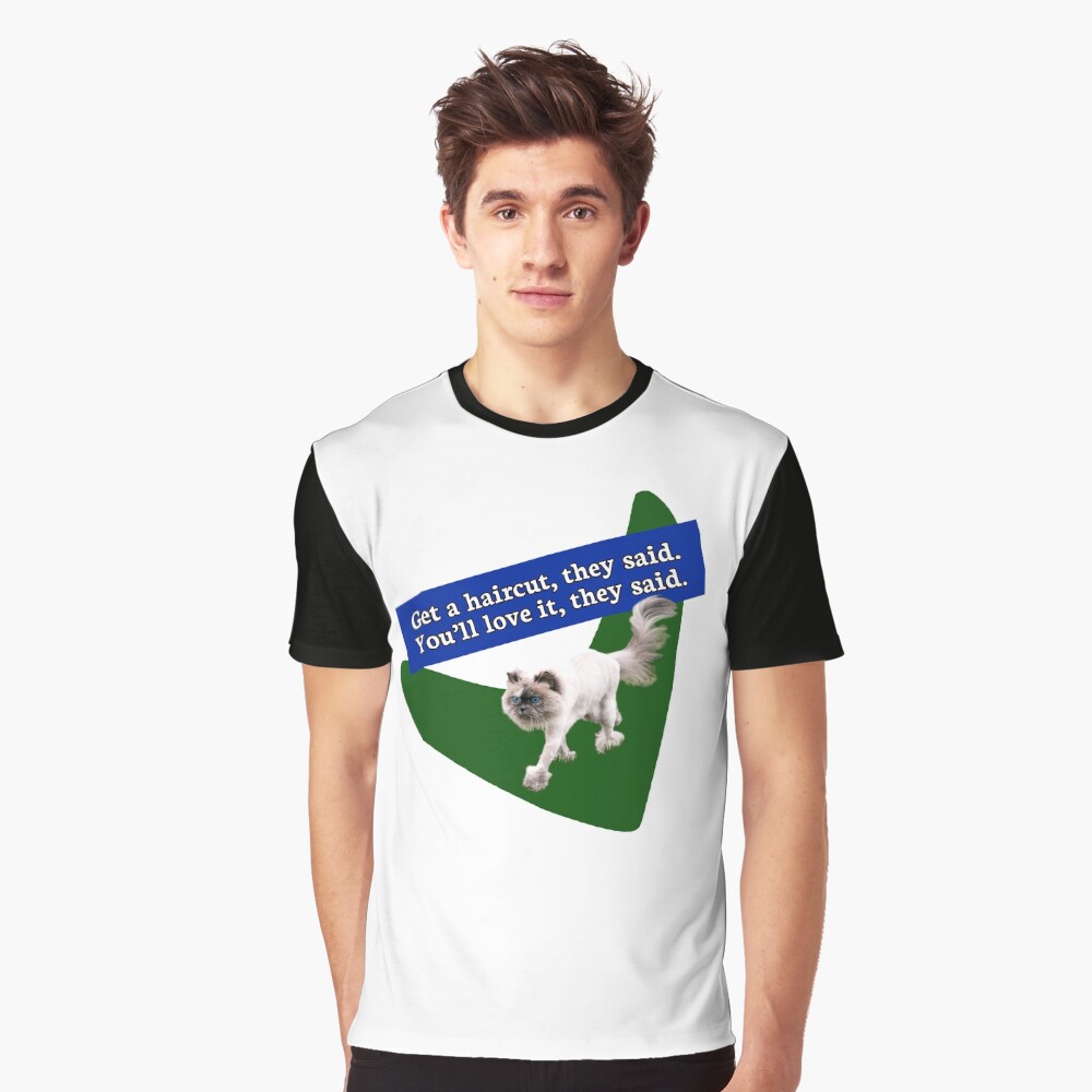 20 Persian Cat Lion Haircut Image