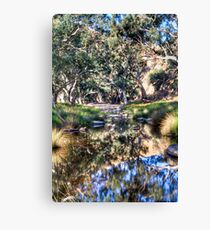 Marne reflections Canvas Print