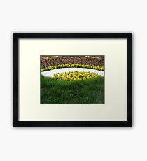 grass Framed Print