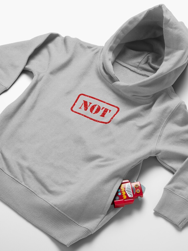 Alternate view of Not stamp Toddler Pullover Hoodie
