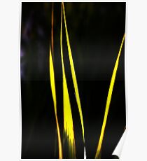 Zen Poster