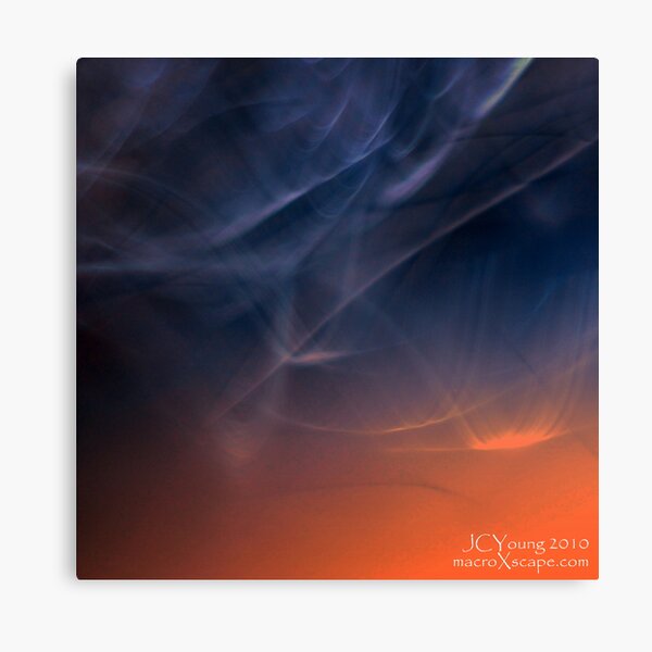 The Morning After Canvas Print