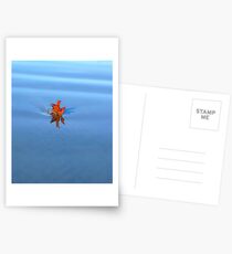 Solo... Postcards
