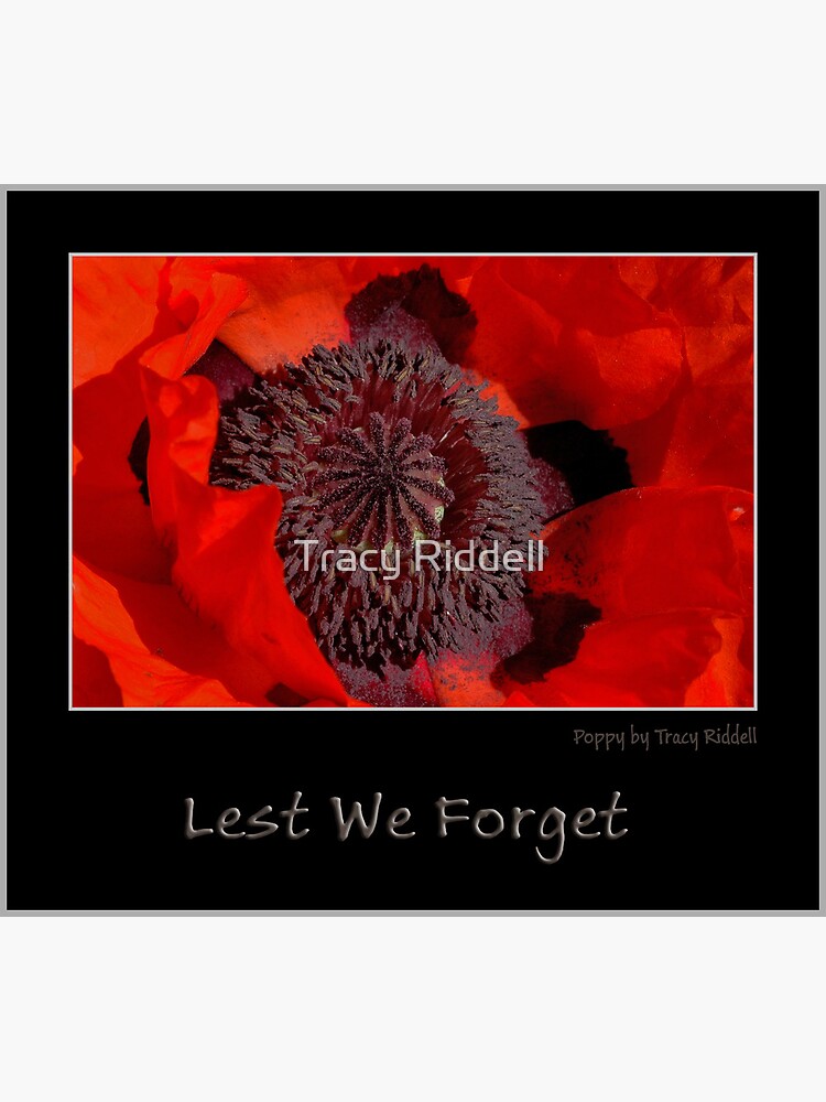 Lest We Forget by taos