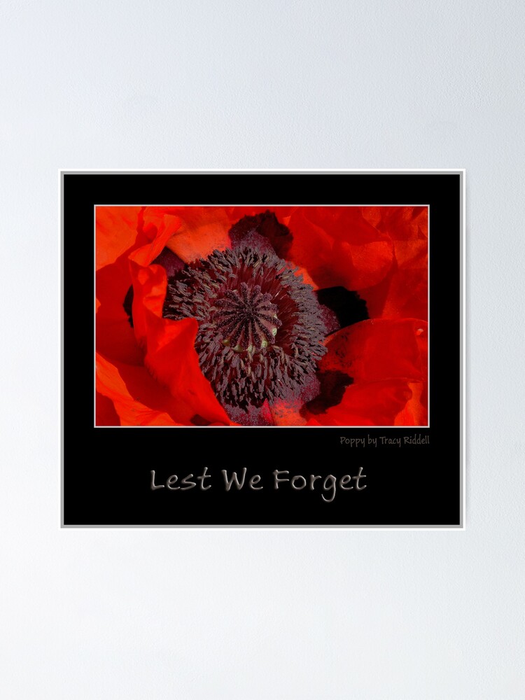 Alternate view of Lest We Forget Poster