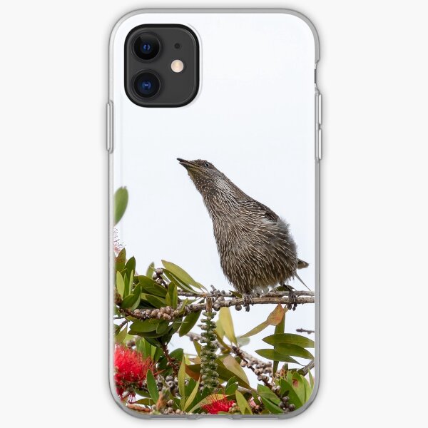 Wattle Bird iPhone Soft Case