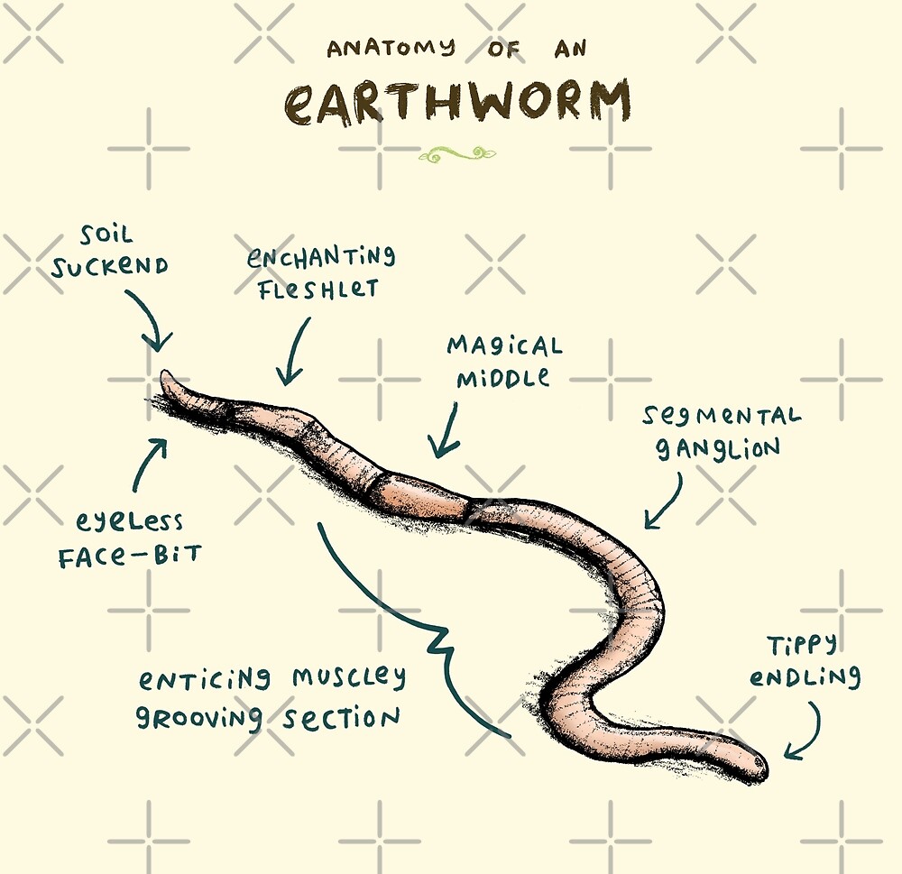 download worm body