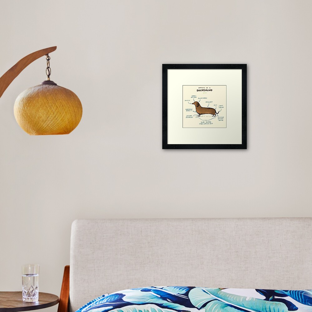 Anatomy of a Dachshund Framed Art Print