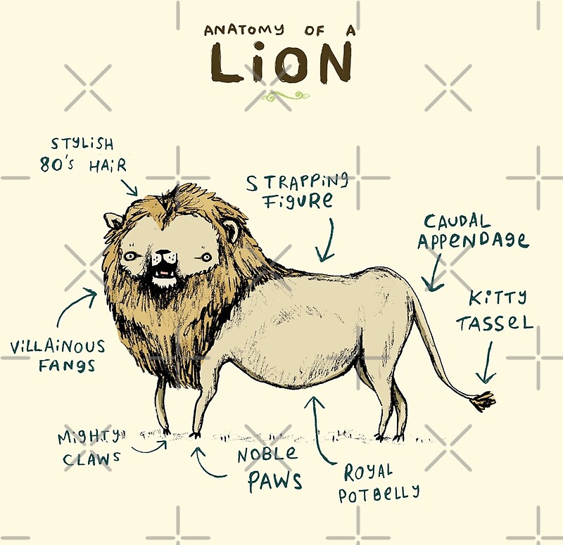"Anatomy of a Lion" by Sophie Corrigan Redbubble