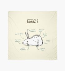 Anatomy of a Rabbit Scarf