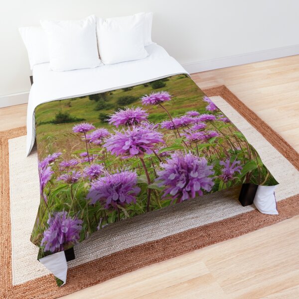 Mission Mountains and Horsemint Comforter
