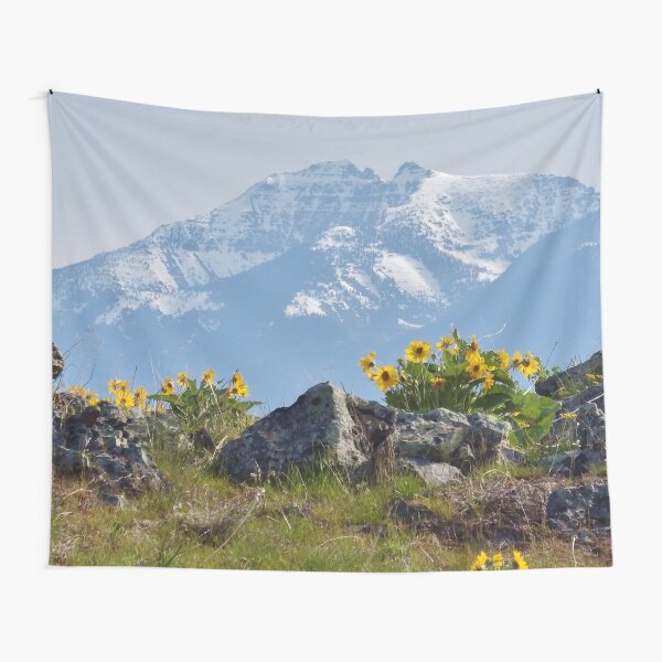 Mission Mountains Balsamroot Tapestry