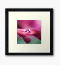 Alternate Reality Framed Print