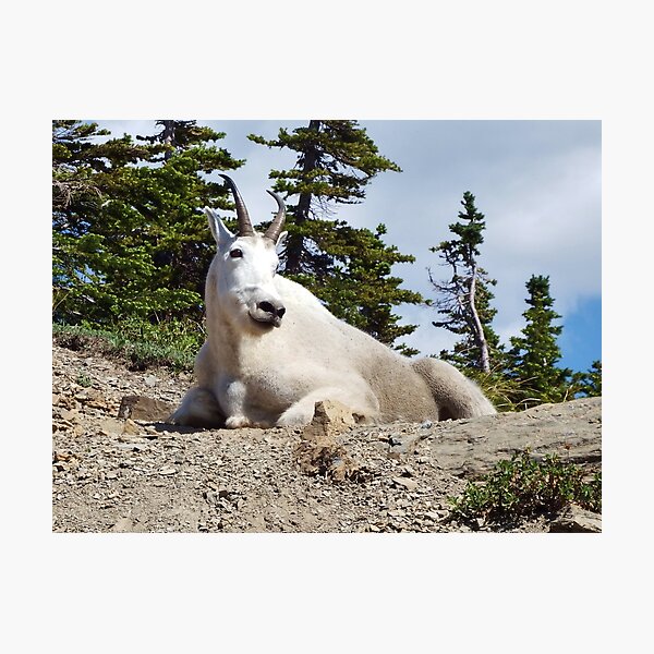King of the Mountain Photographic Print