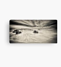 ∞ RAW ∞ Canvas Print