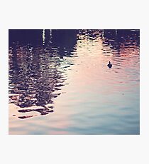 sunset in the water Photographic Print