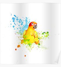 Sonne plätschern Poster