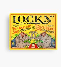Lockn' Music Festival With Derek Trucks With Tedeschi Trucks Band Metal Print
