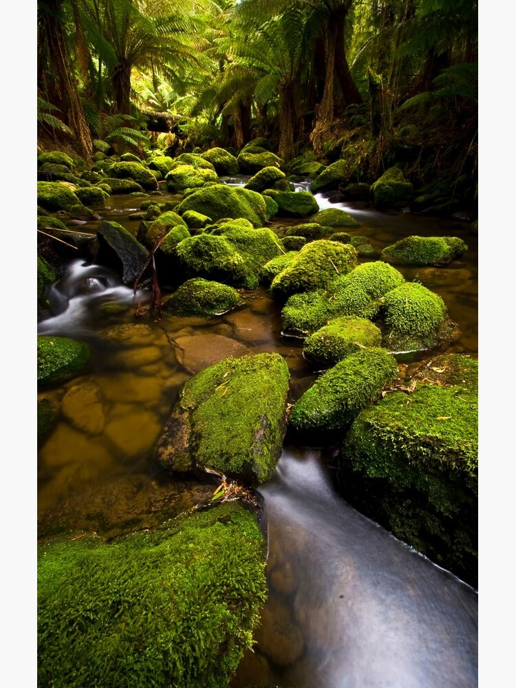 Flowing by paulmp