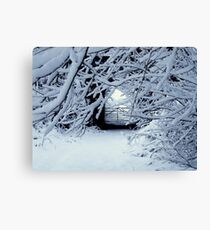 AND THEN IT SNOWED&SNOWED&SNOWED! Canvas Print
