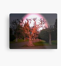 Pleno Invierno.... Metal Print