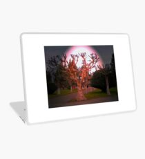 Pleno Invierno.... Laptop Skin
