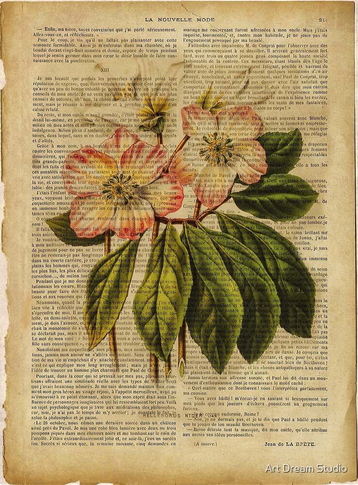 "Botanical print, on old book page - flowers" by Lily D | Redbubble