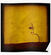 Forlorn Poster