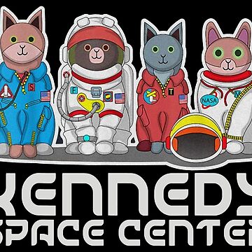 Kennedy space center outlet cat shirt