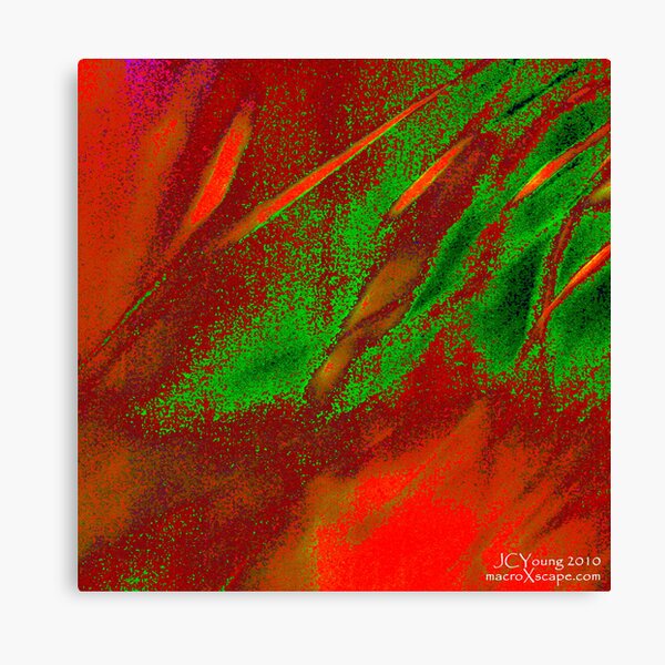 X'mas in the Air Canvas Print