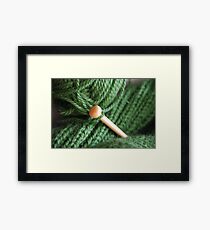 Knitting Framed Print