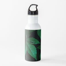 Botella de agua Hojas oscuras 7