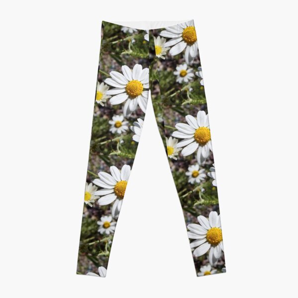 Mayweed wildflower Leggings