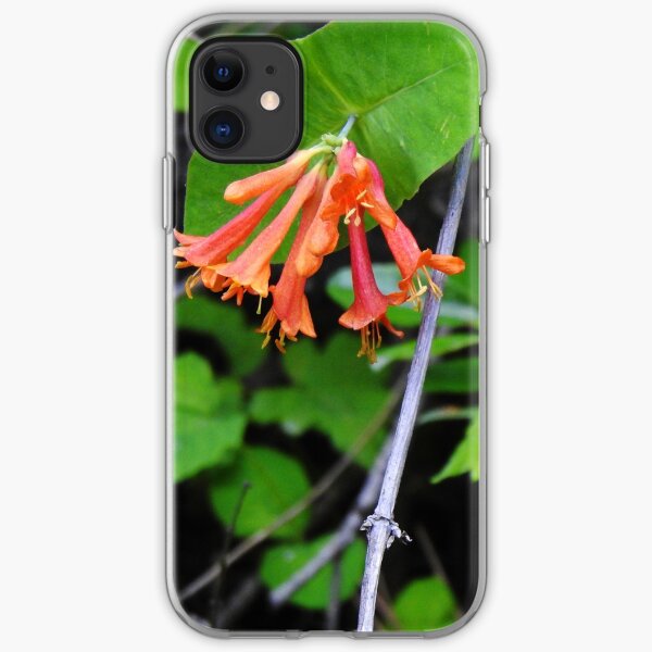 Orange Honeysuckle Wildflower iPhone Soft Case