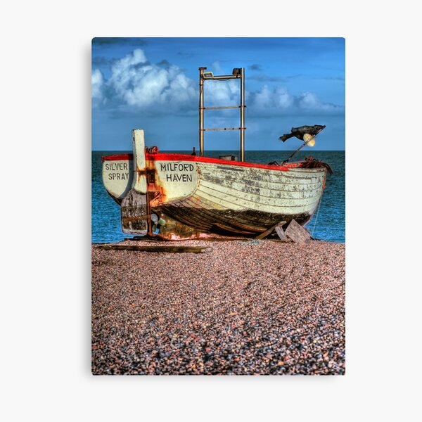 Silver spray Canvas Print