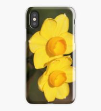 Daffodil iPhone Case/Skin