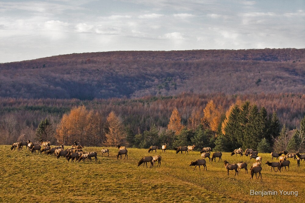 "Benezette, PA" by Benjamin Young | Redbubble