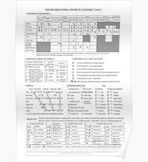 International Phonetic Alphabet Poster