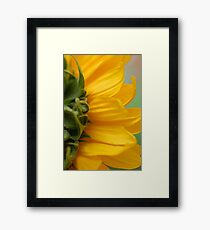 Hello Sun! Framed Print