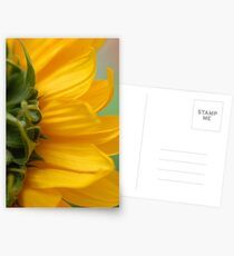Hello Sun! Postcards