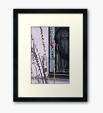 By The Window Framed Print