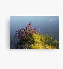 Riverina Bluebell Canvas Print