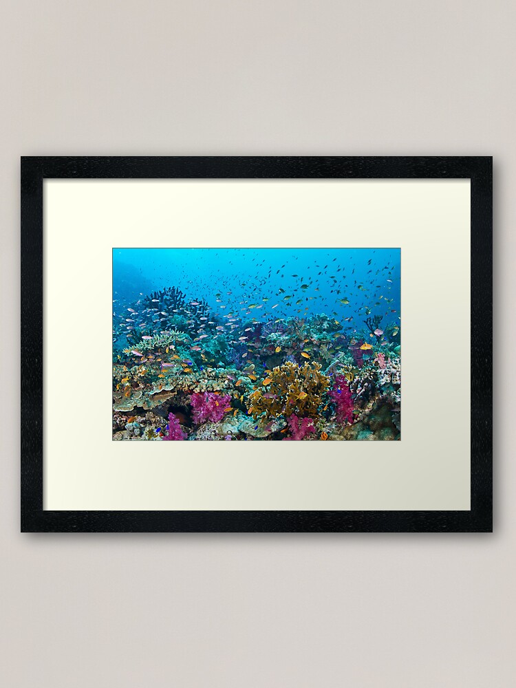 Alternate view of Fantasea Reef Framed Art Print